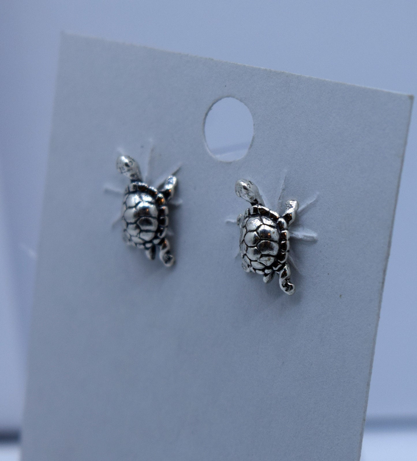 Turtle Earrings Sterling Silver Stud Earrings 6 mm wide