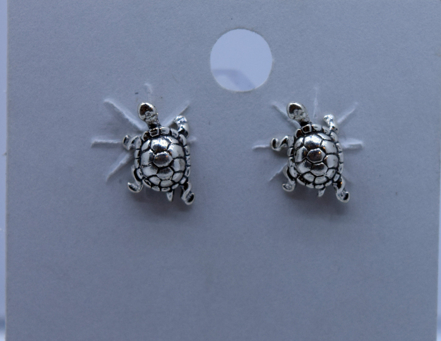 Turtle Earrings Sterling Silver Stud Earrings 6 mm wide