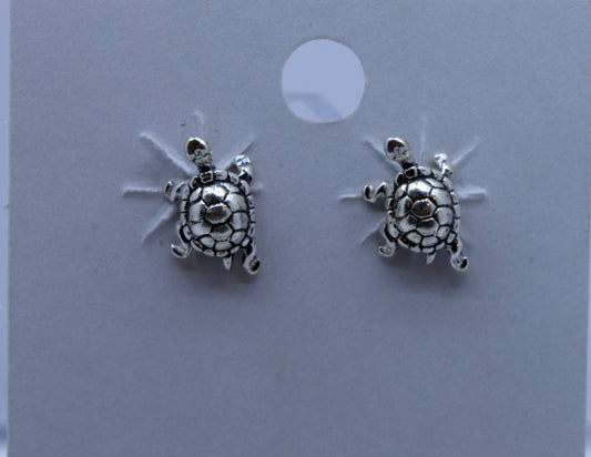 Turtle Earrings Sterling Silver Stud Earrings 6 mm wide